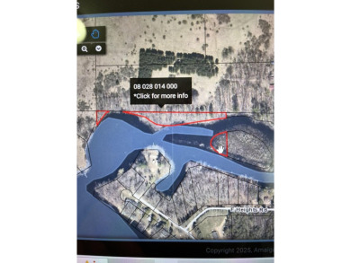 Lake Lot For Sale in Remus, Michigan