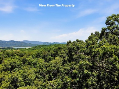 Cherokee Lake Access Lot - photo 24