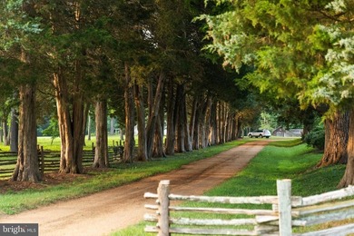 LUXURY PROPERTY AUCTION: 28 July-12 August. Accepting starting - photo 2