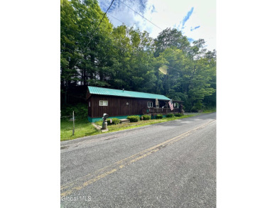 (private lake, pond, creek) Home For Sale in Middleburgh New York