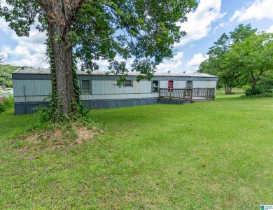 Lake Home For Sale in Ashville, Alabama