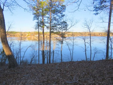 If you are ALL ABOUT THE VIEW, this 1-acre lake lot has been - Lake Lot For Sale in Hodges, South Carolina