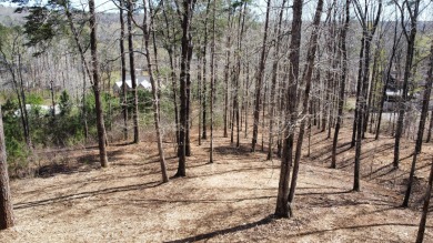 Nice 1.5 acre Smith Lake lot with very gentle slope to 130+/- - Lake Lot For Sale in Crane Hill, Alabama
