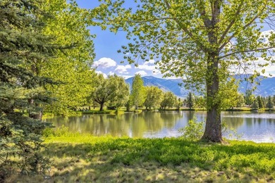 Few homesites in Bridger Lake Meadows can claim this: a position - photo 18