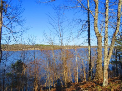 For the discerning future homebuilder who demands a SPECTACULAR - Lake Lot For Sale in Hodges, South Carolina