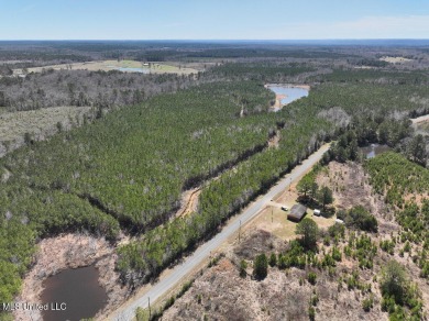 (private lake, pond, creek) Acreage For Sale in Shubuta Mississippi