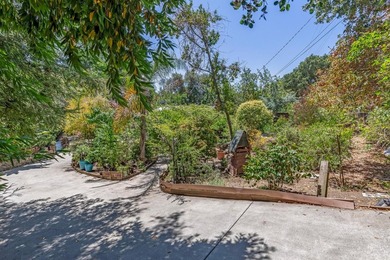 A rare slice of old-world charm in Silicon Valley! Built in 1912 - photo 19