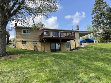 Lake Home For Sale in Osseo, Michigan