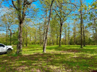 ONE OF THE MOST BEAUTIFUL 21.8 ACRES M/L you will ever find - Lake Acreage For Sale in Clarkridge, Arkansas