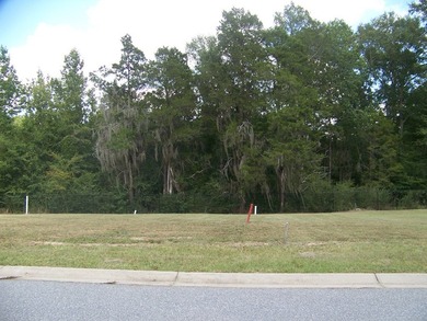 Land lots # 21,22 and 25-31, located at The Point at the Lake - photo 2