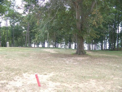 Land lots # 21,22 and 25-31, located at The Point at the Lake - photo 3