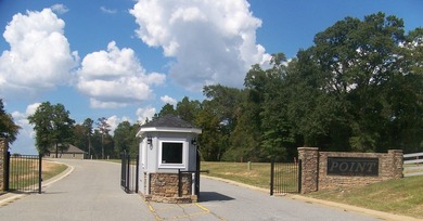 Land lots # 21,22 and 25-31, located at The Point at the Lake - photo 4