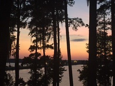 Land lots # 21,22 and 25-31, located at The Point at the Lake - photo 6