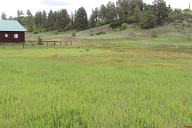 Hatcher Reservoir Lot For Sale in Pagosa Springs Colorado