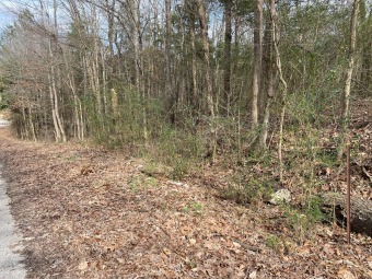 Tennessee River - Benton County Lot For Sale in Eva Tennessee
