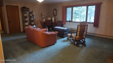 View property in the heart of Coolin! More trees can come down - photo 17