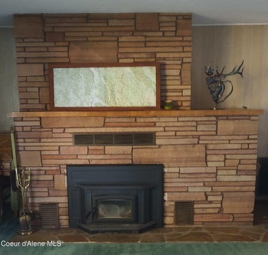 View property in the heart of Coolin! More trees can come down - photo 19