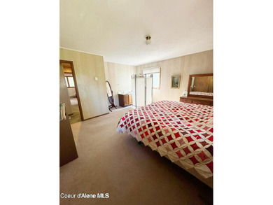 View property in the heart of Coolin! More trees can come down - photo 20