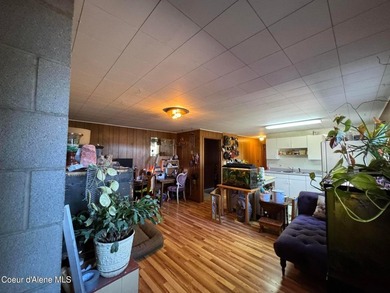 View property in the heart of Coolin! More trees can come down - photo 28