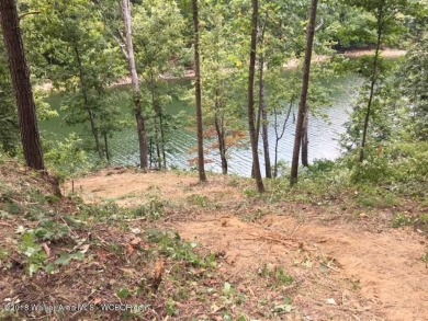 Smith Lake (Rock Creek)-This lot is priced to sell. It has - Lake Lot For Sale in Arley, Alabama