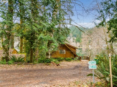 Oregon Lakefront Living. Step out onto your private dock for a - photo 6