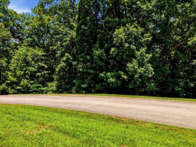 Cherokee Lake Access Lot - photo 3