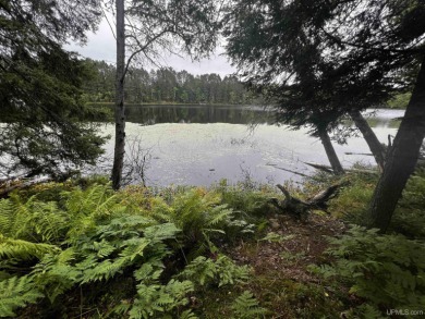 (private lake, pond, creek) Acreage For Sale in Crystal Falls Michigan