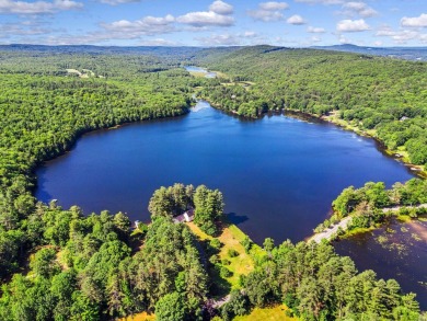 Lake Home For Sale in Litchfield, Maine