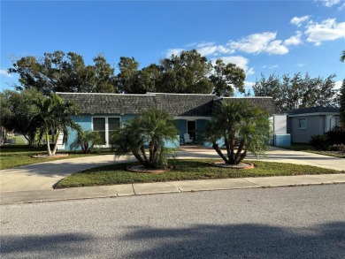 (private lake, pond, creek) Home For Sale in New Port Richey Florida