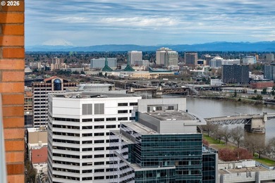 On the 24th floor of Fountain Plaza, this stunning residence - photo 21