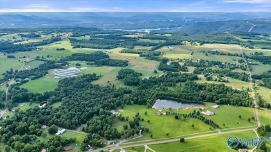 OPEN HOUSE SUN 7/12 2-4Refreshment Magnificent Contemporary 4+BR - photo 4