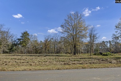 Come discover Woodside Shores, a refreshing new lakefront - photo 3