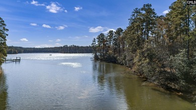 Come discover Woodside Shores, a refreshing new lakefront - photo 10