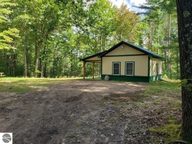Lake Home For Sale in Kalkaska, Michigan