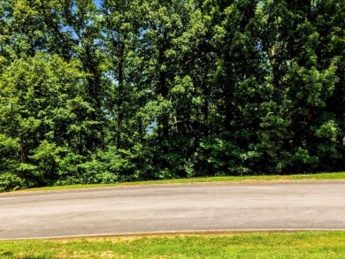 Cherokee Lake Access Lot - photo 4