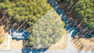 Corner lot, just under one acre of land, located within the - photo 4