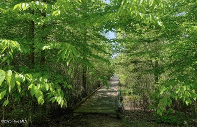Corner lot, just under one acre of land, located within the - photo 8