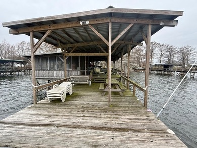 This Lake Bruin 100' lot has a 500 sf outdoor kitchen with roll - photo 11