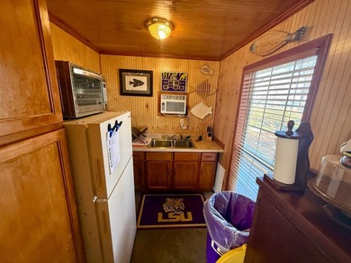 This Lake Bruin 100' lot has a 500 sf outdoor kitchen with roll - photo 20
