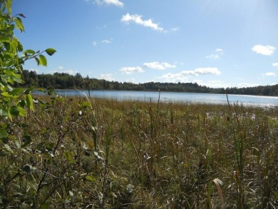 Lake Lot Sale Pending in Backus, Minnesota