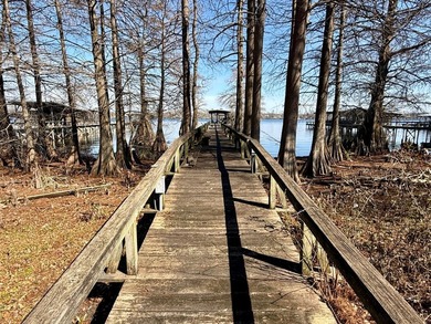 This Lake Bruin 100' lot has a 500 sf outdoor kitchen with roll - photo 26