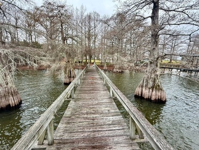This Lake Bruin 100' lot has a 500 sf outdoor kitchen with roll - photo 27