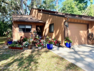 Lake Home For Sale in Ormond Beach, Florida
