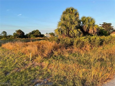 Lehigh Acres Area Lot For Sale in Lehigh Acres Florida