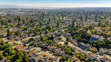 Located in one of San Carlos' most sought-after neighborhoods - photo 39