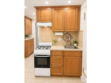 2Family, Rare detached Corner Lot 2-family with 2-car garage + 2 - photo 3