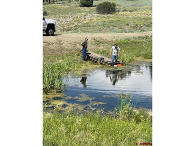Deborah Kerns, Team Pagosa Realty Group, C:,,: Just REDUCED by - photo 41