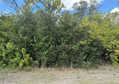 Port Charlotte Waterway Area Lot For Sale in Port Charlotte Florida