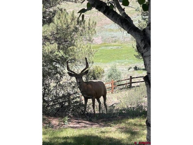 Deborah Kerns, Team Pagosa Realty Group, C:,,: Just REDUCED by - photo 42