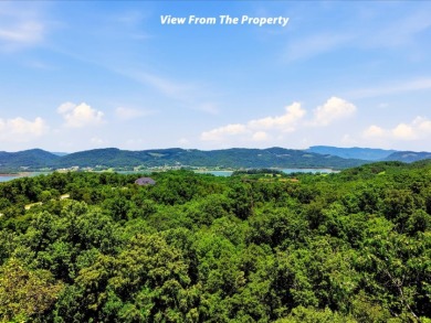 Cherokee Lake Access Lot - photo 2